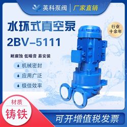 2BV-5111水环式真空泵