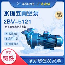 2BV-5121水环式真空泵