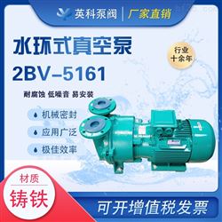 2BV-5161水环式真空泵