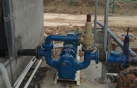 凸轮转子泵-杭州艾迪机器