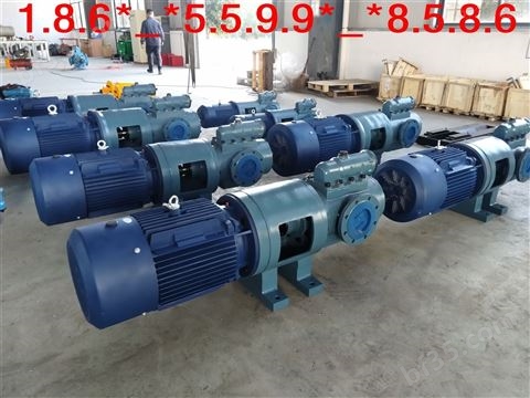 HSNF210-54N三螺杆泵泵头