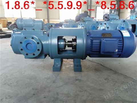 SNF940R50E6.7W23乳胶输送泵