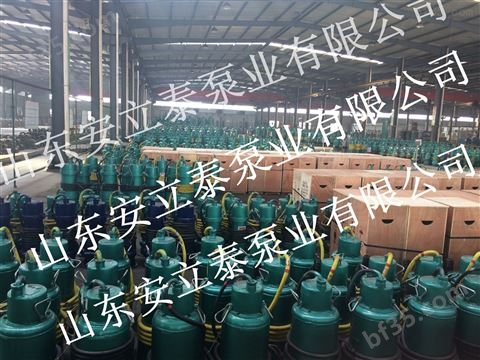 耐磨排污泵价格BQS100-400/4-250/N 台州矿用防爆泵生产