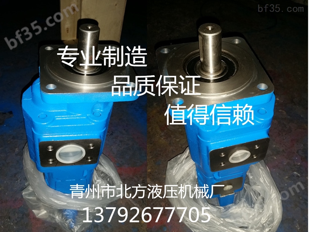 双联齿轮泵CBGFA2050/K1012-305R