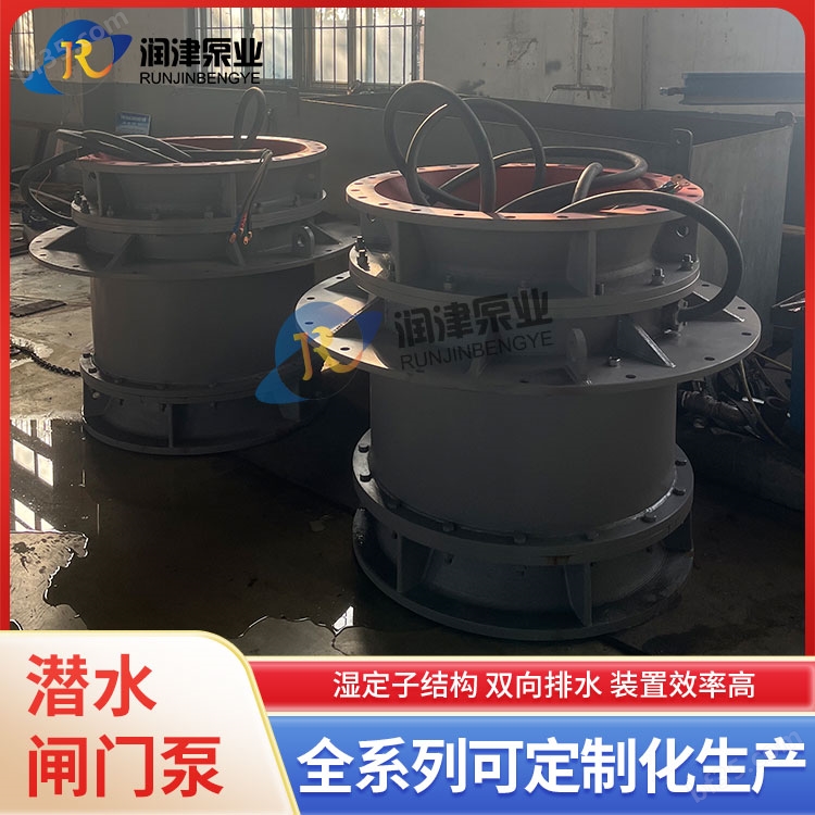 闸门泵 一体化泵闸供应商 天津润津泵业