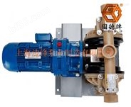 DN32或DN40全氟材质电动隔膜泵