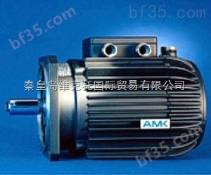 优势供应德国AMK电机等产品。