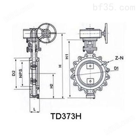 TD373H美标对夹凸耳式蝶阀