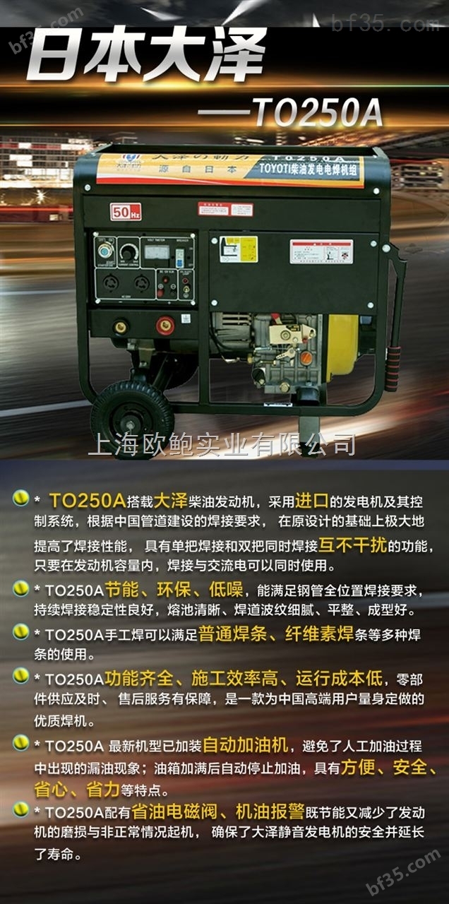 多功能发电电焊机TO250A