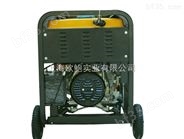 小型柴油发电电焊机TO190A