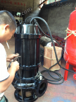 供应80JYWQ50-25-1600-7.5排污泵