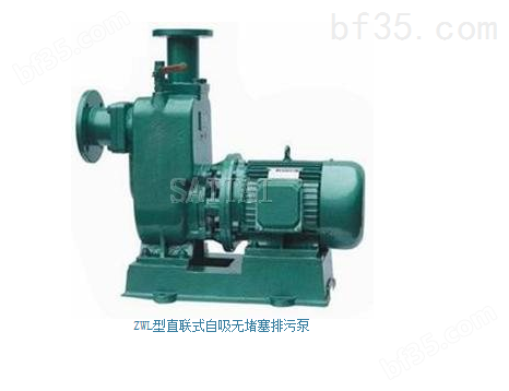 上海赛泰泵阀供应 直联式自吸无堵塞排污泵