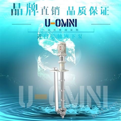 长轴液下泵-U-OMNI进口美国品牌