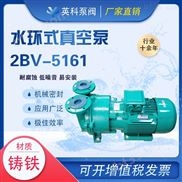 2BV-5161-水环式真空泵