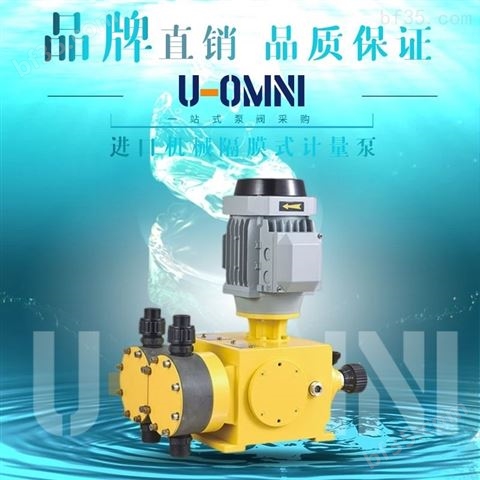 进口隔膜式液压计量泵-进口欧姆尼U-OMNI