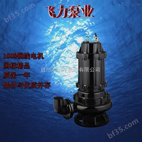 台州潜水泵型号齐全，功率足