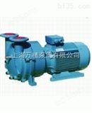 2BV型水环式真空泵（上海厂家价格及选型）