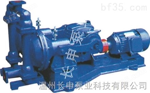 温州厂家DBY电动隔膜泵