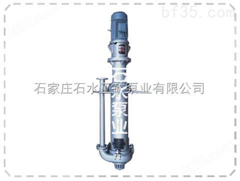 石家庄液下泵生产厂家,300TV-SP（R）耐磨液下泵