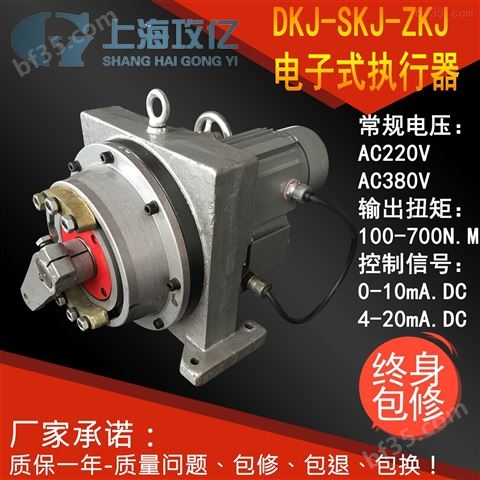 DKJ-210CX电动头-DKJ电动执行器