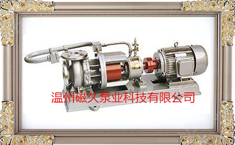 MT-HTP型磁力驱动泵（磁力泵