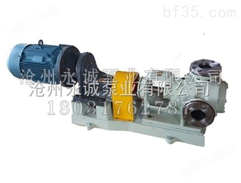 广州NYP30树脂泵的选型与使用