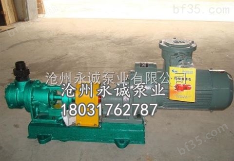 广州NYP30树脂泵的选型与使用