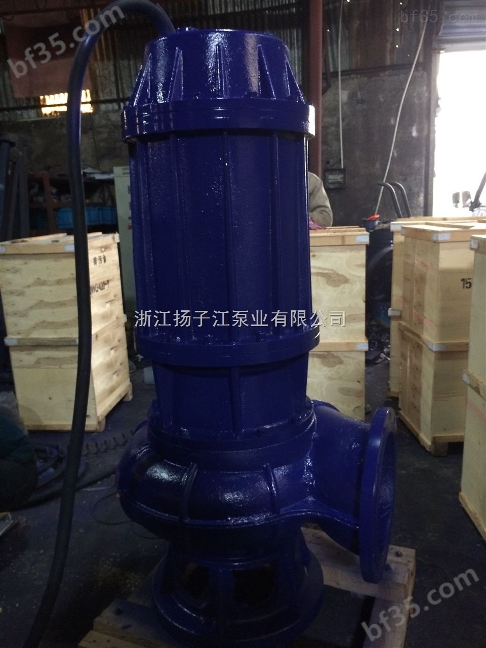 集水坑污水泵JYWQ80-40-15-1600-4自动搅匀排污泵污水泵