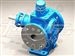 恒盛泵业  供应YCB圆弧齿轮泵齿轮油泵