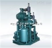 罗茨真空泵 JZJ2S罗茨水环真空泵 河北省专业生产制造