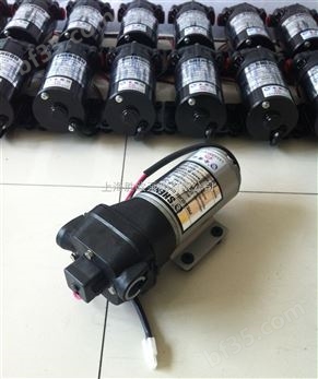 DP-35微型电动隔膜泵