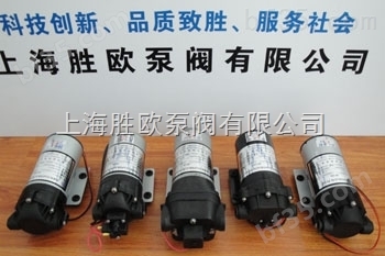 DP-60N耐微电动型隔膜泵