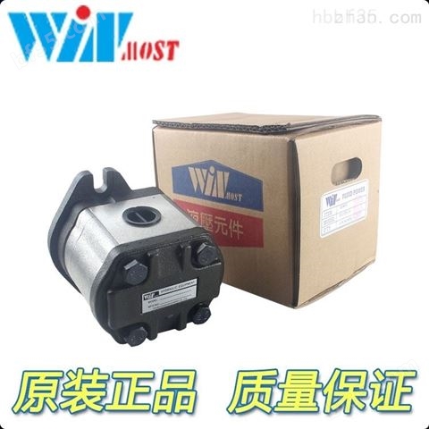 液压元件齿轮泵的清洗中国台湾峰昌WINMOST