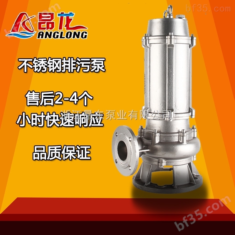 304不锈钢精铸潜水泵 固定耦合水泵