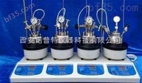 河北师范供应小型实验室高压反应釜