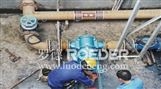 青岛罗德污泥转子泵