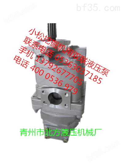 长江双联泵CBY3063/K1025-285R